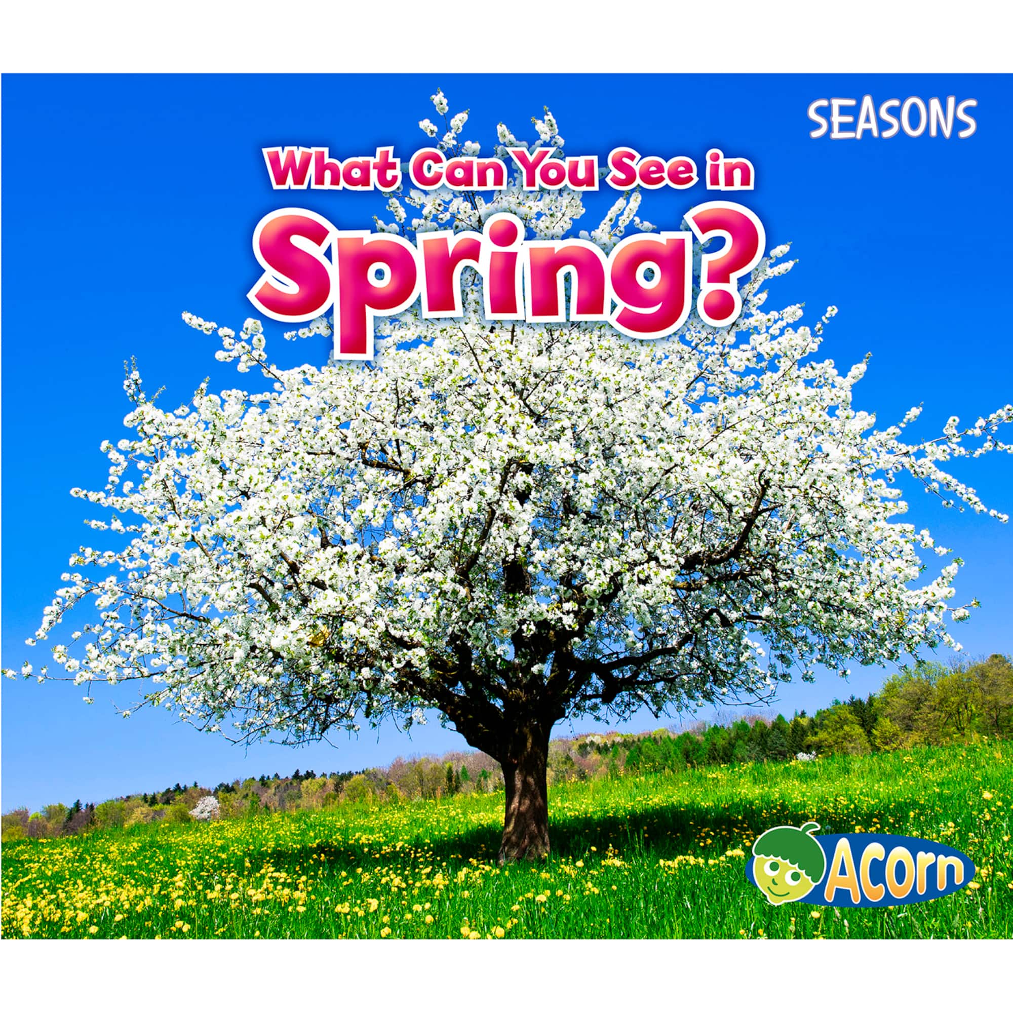 Capstone Press Seasons 4 Book Set